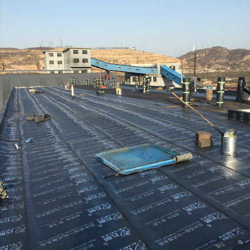 楼顶需要做防水,当然选飞恩防水